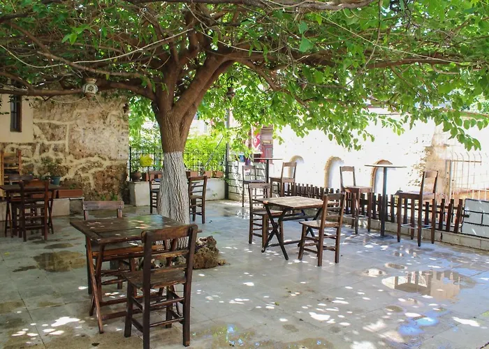 White City Pension